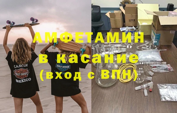 сатива Алзамай