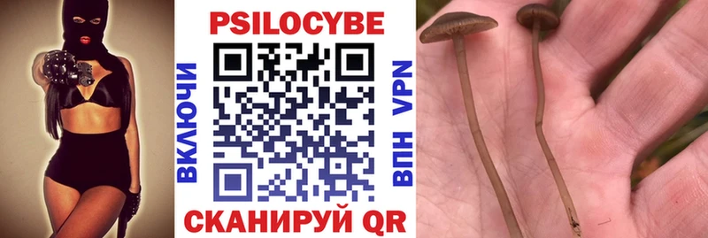 Псилоцибиновые грибы прущие грибы  МЕГА как войти  Пущино  купить закладку 